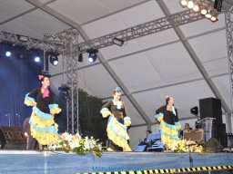 Festival de Folkore en Mula